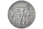 На серебряной монете Ганы показаны слоны