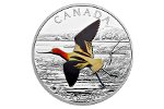 Американская шилоклювка украшает монету Канады