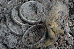 Клад из колец и монет XVIII-XIX вв. обнаружили в Старой Руссе 