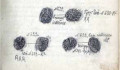 К «биографии» одной редкой монеты петровского времени (рублевик с датой «1710» и буквами «МД»