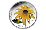 Монета «Черноглазая Сьюзен» появилась в Канаде