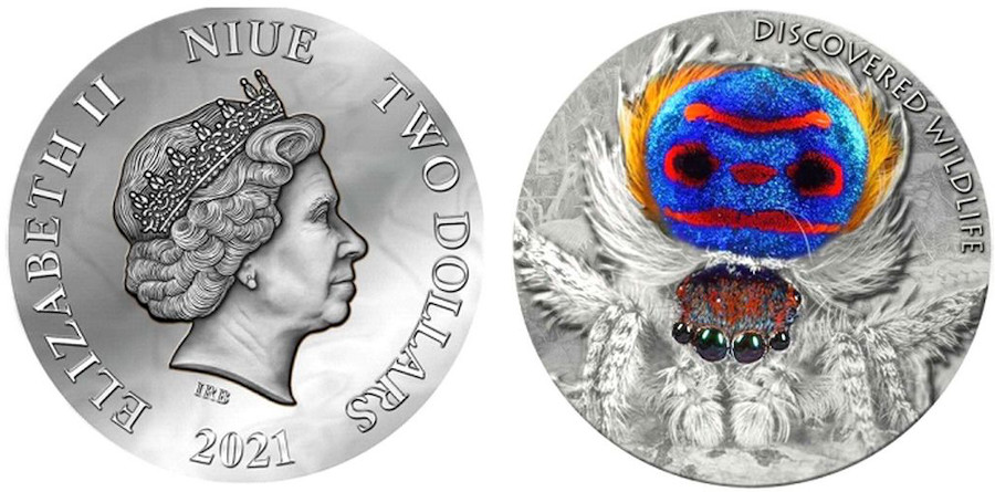 Монета "Паук-павлин", Серия «Недавно обнаруженные дикие животные» от Ниуэ